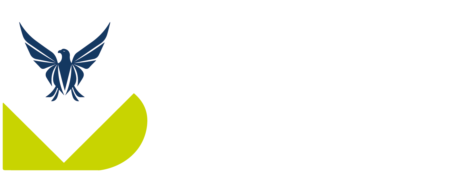 BVNMglobal - Digitale Lösungen für Network Marketing